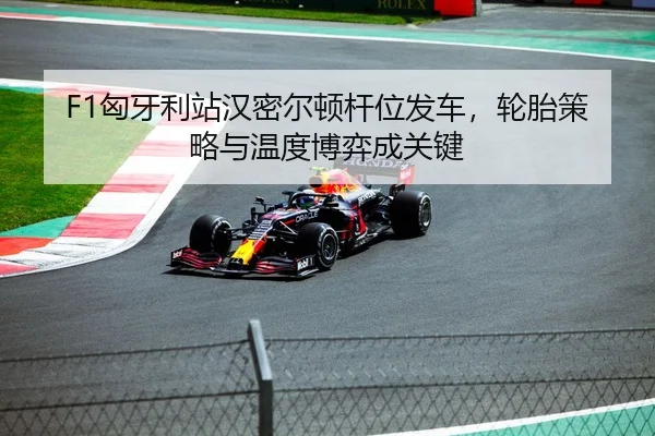F1匈牙利站汉密尔顿杆位发车，轮胎策略与温度博弈成关键