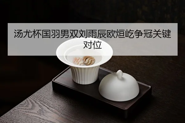 tang-you-bei-guo-yu-nan-shuang-liu-yu-chen-ou-xuan-yi-zheng-guan-guan-jian-dui-wei-3-183.jpg