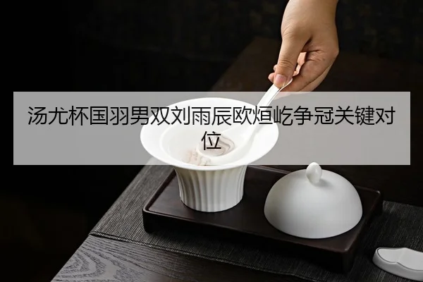 汤尤杯国羽男双刘雨辰欧烜屹争冠关键对位
